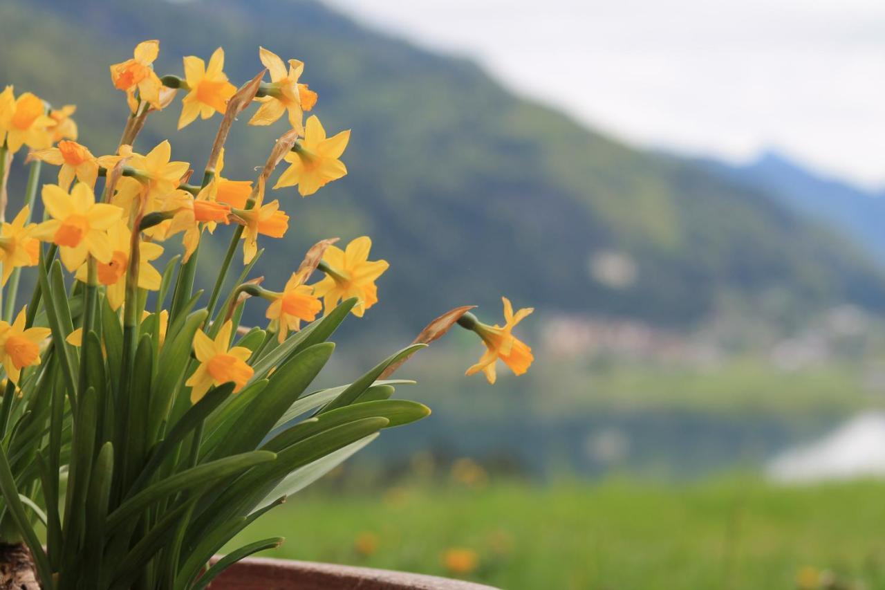 Panorama Lodge Walchsee Luaran gambar